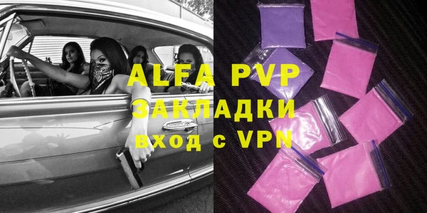 хмурый Абаза