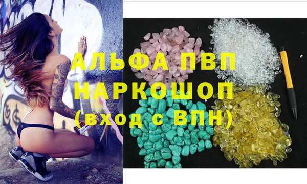 хмурый Абаза